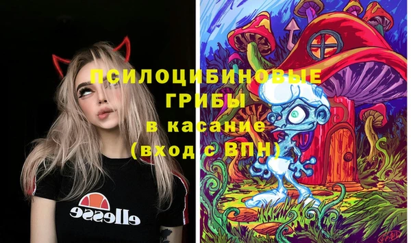 2c-b Белокуриха