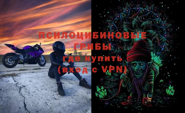 2c-b Белокуриха