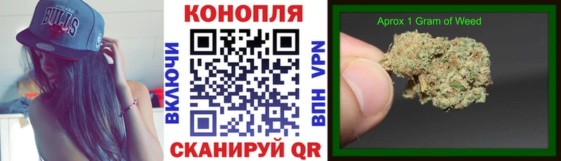 купить наркоту  Холмск  Конопля ГИДРОПОН 